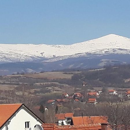 Apartman "Vienna" Sokobanja Kültér fotó
