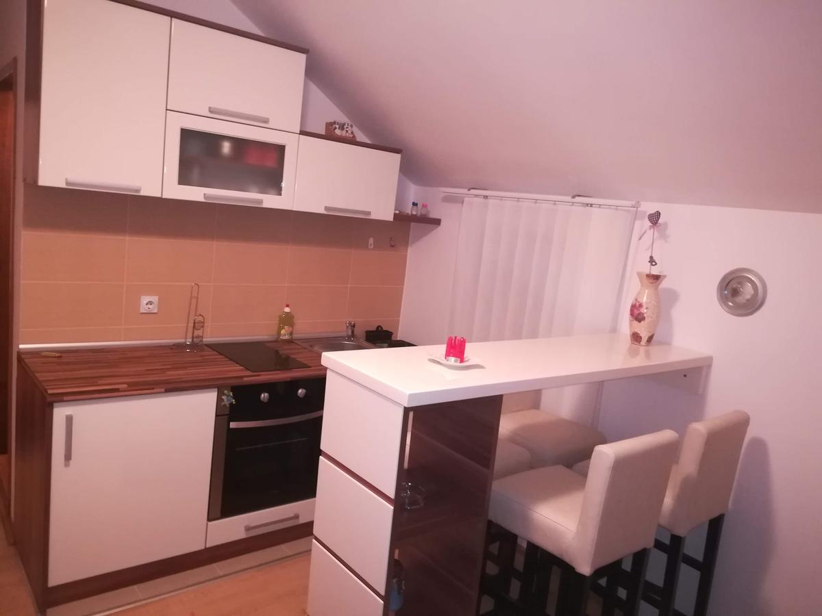 Apartman "Vienna" Sokobanja Kültér fotó